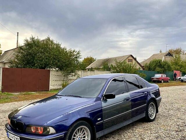 Синий БМВ 5 Серия, объемом двигателя 2.5 л и пробегом 320 тыс. км за 4000 $, фото 1 на Automoto.ua