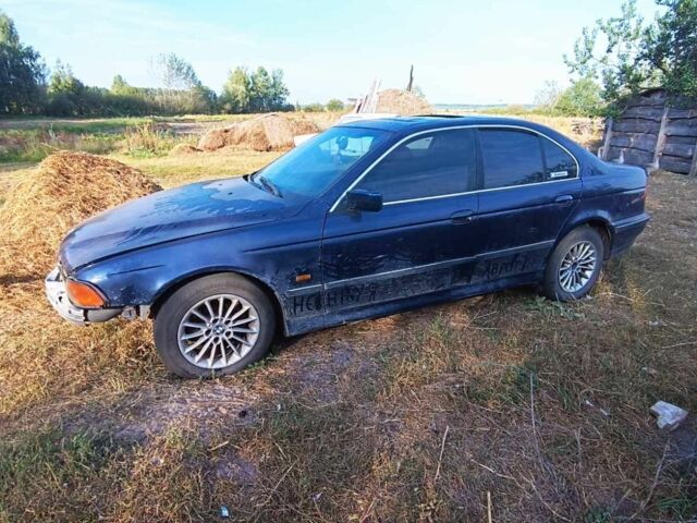 Синий БМВ 5 Серия, объемом двигателя 2 л и пробегом 250 тыс. км за 600 $, фото 3 на Automoto.ua