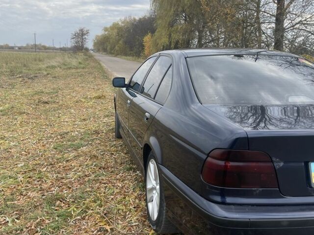 Синій БМВ 5 Серія, об'ємом двигуна 2 л та пробігом 3 тис. км за 4000 $, фото 3 на Automoto.ua