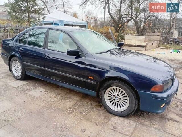 Синий БМВ 5 Серия, объемом двигателя 2.5 л и пробегом 45 тыс. км за 4500 $, фото 3 на Automoto.ua