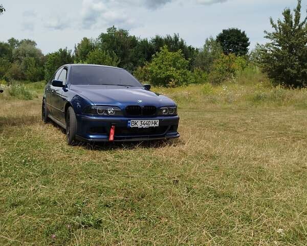 Синий БМВ 5 Серия, объемом двигателя 3 л и пробегом 224 тыс. км за 7200 $, фото 2 на Automoto.ua