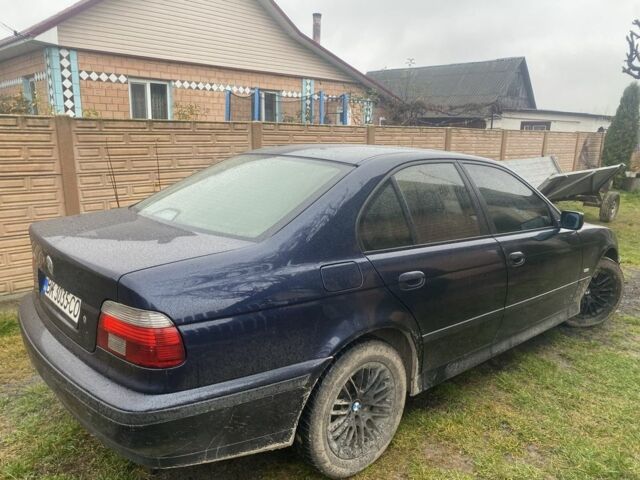 Синий БМВ 5 Серия, объемом двигателя 2.5 л и пробегом 376 тыс. км за 3700 $, фото 2 на Automoto.ua