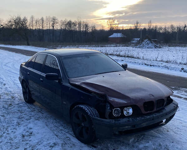 Синий БМВ 5 Серия, объемом двигателя 2.5 л и пробегом 417 тыс. км за 2500 $, фото 1 на Automoto.ua