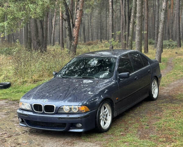 Синий БМВ 5 Серия, объемом двигателя 2.93 л и пробегом 368 тыс. км за 9200 $, фото 15 на Automoto.ua