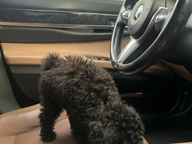 Черный БМВ 7 Серия, объемом двигателя 3 л и пробегом 199 тыс. км за 14000 $, фото 7 на Automoto.ua