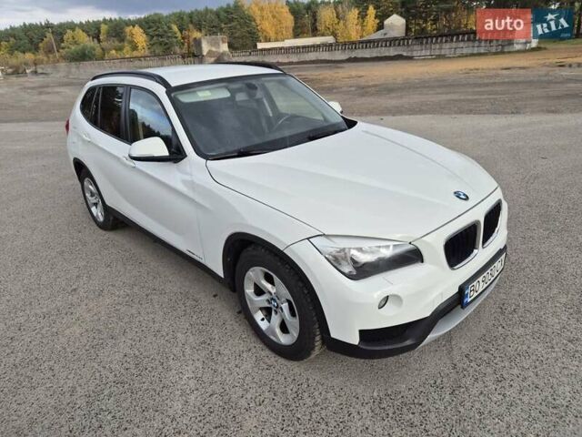 Белый БМВ Х1, объемом двигателя 2 л и пробегом 243 тыс. км за 14500 $, фото 9 на Automoto.ua