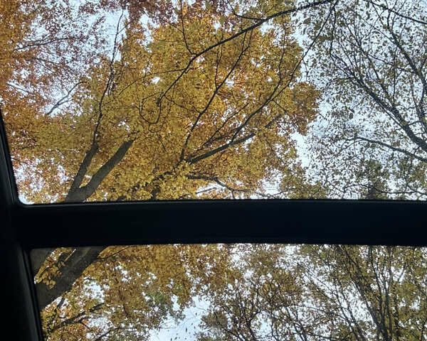 Білий БМВ Х3, об'ємом двигуна 3 л та пробігом 64 тис. км за 39999 $, фото 76 на Automoto.ua