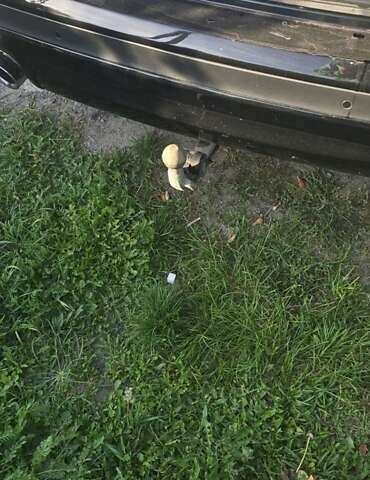 Черный БМВ Х3, объемом двигателя 3 л и пробегом 129 тыс. км за 39150 $, фото 10 на Automoto.ua