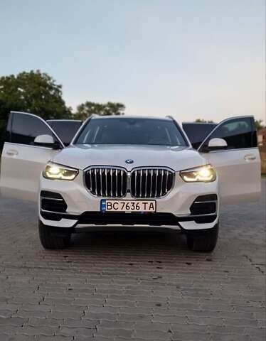 Белый БМВ Х5, объемом двигателя 3 л и пробегом 31 тыс. км за 72500 $, фото 12 на Automoto.ua