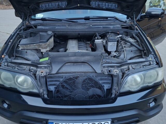 Чорний БМВ Х5, об'ємом двигуна 0 л та пробігом 256 тис. км за 5200 $, фото 12 на Automoto.ua