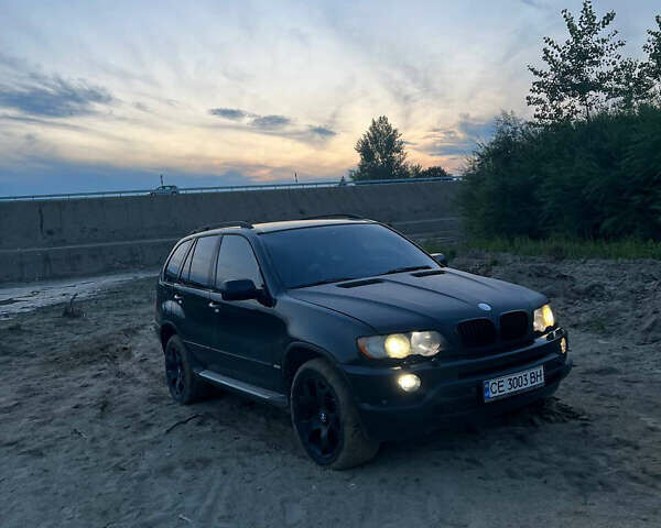 Черный БМВ Х5, объемом двигателя 4.4 л и пробегом 323 тыс. км за 7250 $, фото 14 на Automoto.ua