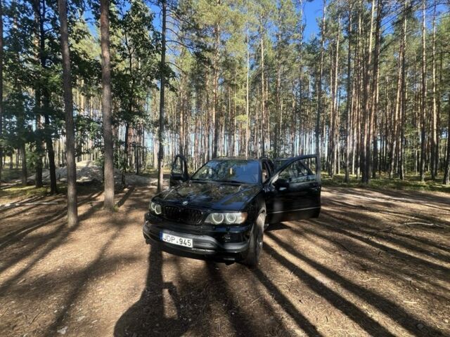 Черный БМВ Х5, объемом двигателя 3 л и пробегом 412 тыс. км за 7500 $, фото 15 на Automoto.ua