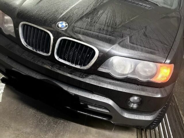 БМВ Х5 2003 в Черновцах на Automoto.ua Черный БМВ Х5, объемом двигателя 3 л и пробегом 515 тыс. км за 5605 $, фото 1 на Automoto.ua