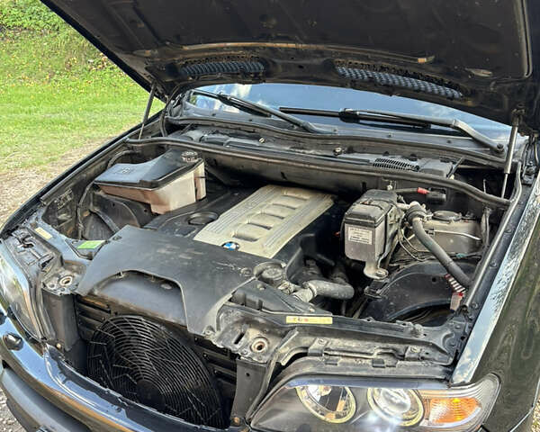 БМВ Х5 2005 в Тернополе на Automoto.ua Черный БМВ Х5, объемом двигателя 3 л и пробегом 405 тыс. км за 10500 $, фото 12 на Automoto.ua