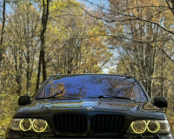 Черный БМВ Х5, объемом двигателя 2.99 л и пробегом 376 тыс. км за 13800 $, фото 12 на Automoto.ua