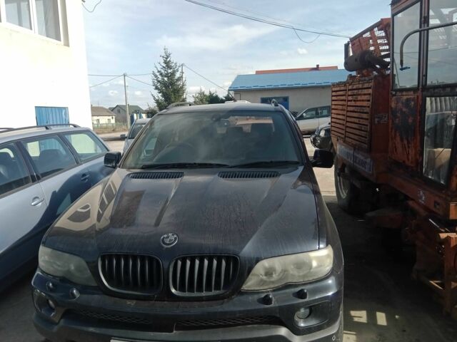 Чорний БМВ Х5, об'ємом двигуна 3 л та пробігом 160 тис. км за 4614 $, фото 1 на Automoto.ua