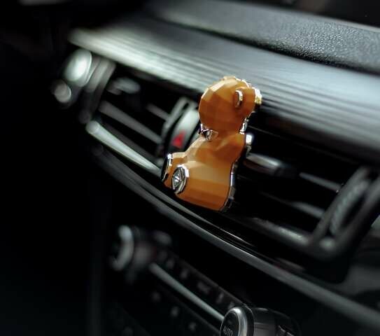 Черный БМВ Х5, объемом двигателя 2 л и пробегом 212 тыс. км за 38900 $, фото 8 на Automoto.ua