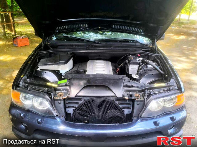 БМВ Х5, об'ємом двигуна 3 л та пробігом 131 тис. км за 6800 $, фото 7 на Automoto.ua