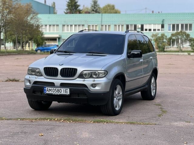Серый БМВ Х5, объемом двигателя 3 л и пробегом 300 тыс. км за 8505 $, фото 18 на Automoto.ua
