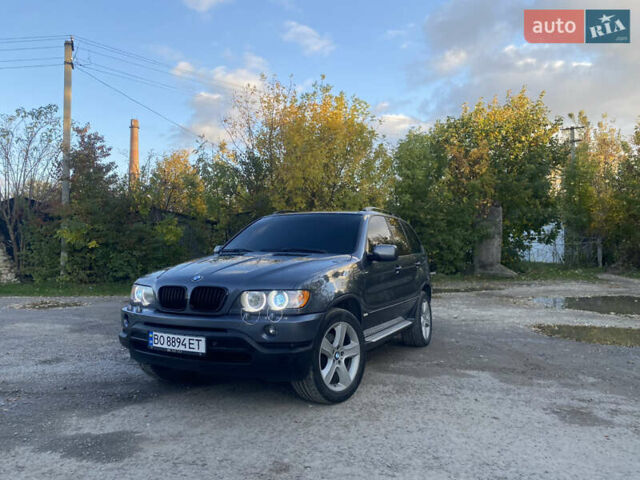 Серый БМВ Х5, объемом двигателя 2.98 л и пробегом 300 тыс. км за 8800 $, фото 11 на Automoto.ua