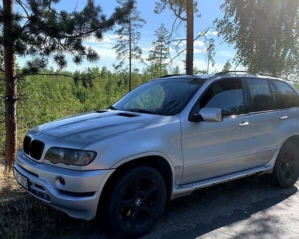 Серый БМВ Х5, объемом двигателя 3 л и пробегом 320 тыс. км за 4500 $, фото 8 на Automoto.ua