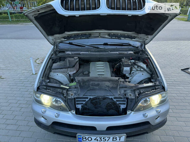 Серый БМВ Х5, объемом двигателя 3 л и пробегом 239 тыс. км за 11999 $, фото 40 на Automoto.ua