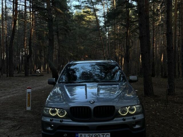 Серый БМВ Х5, объемом двигателя 3 л и пробегом 219 тыс. км за 6000 $, фото 1 на Automoto.ua