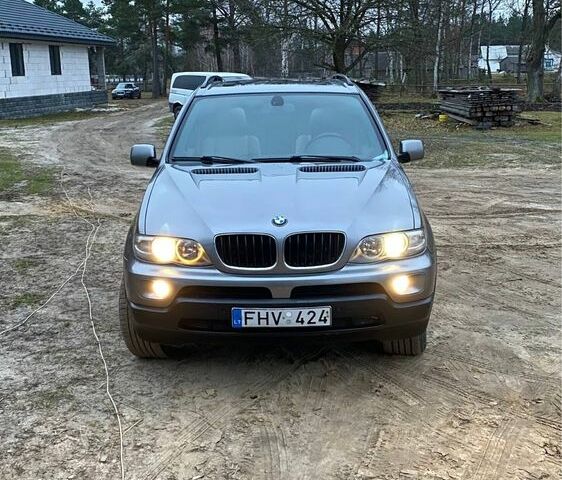 Серый БМВ Х5, объемом двигателя 3 л и пробегом 350 тыс. км за 6000 $, фото 5 на Automoto.ua