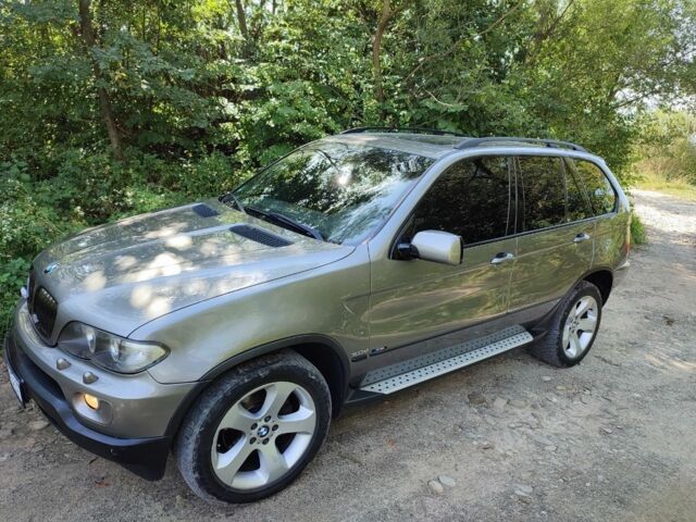 Серый БМВ Х5, объемом двигателя 3 л и пробегом 273 тыс. км за 12000 $, фото 16 на Automoto.ua