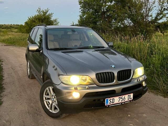 Сірий БМВ Х5, об'ємом двигуна 0 л та пробігом 340 тис. км за 5300 $, фото 6 на Automoto.ua
