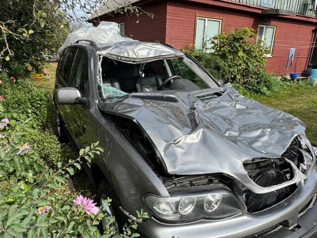 Серый БМВ Х5, объемом двигателя 3 л и пробегом 315 тыс. км за 6500 $, фото 8 на Automoto.ua