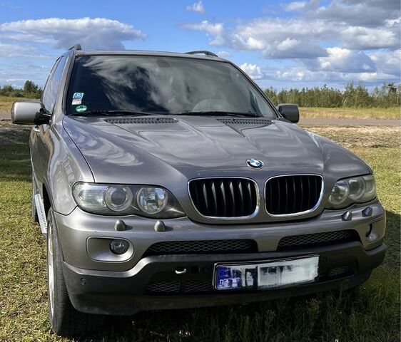 Серый БМВ Х5, объемом двигателя 3 л и пробегом 177 тыс. км за 5900 $, фото 2 на Automoto.ua