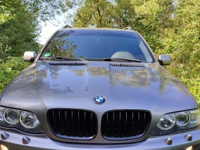 Серый БМВ Х5, объемом двигателя 3 л и пробегом 273 тыс. км за 12000 $, фото 13 на Automoto.ua