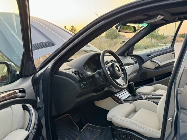 Серый БМВ Х5, объемом двигателя 3 л и пробегом 241 тыс. км за 9900 $, фото 14 на Automoto.ua