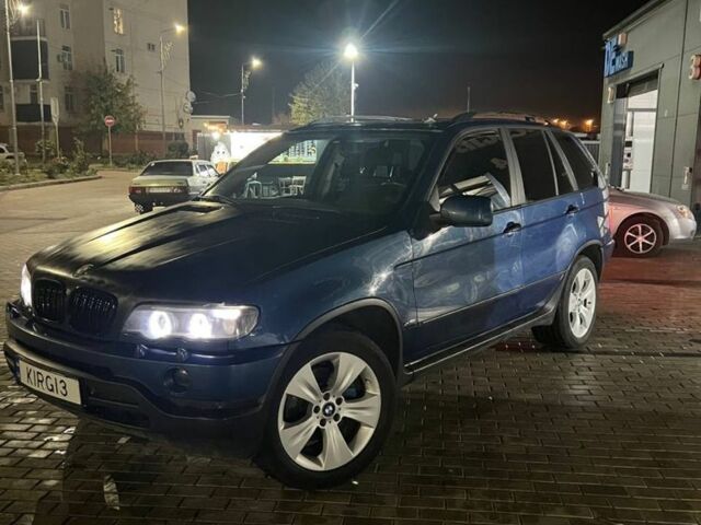 Синий БМВ Х5, объемом двигателя 3 л и пробегом 400 тыс. км за 4700 $, фото 3 на Automoto.ua