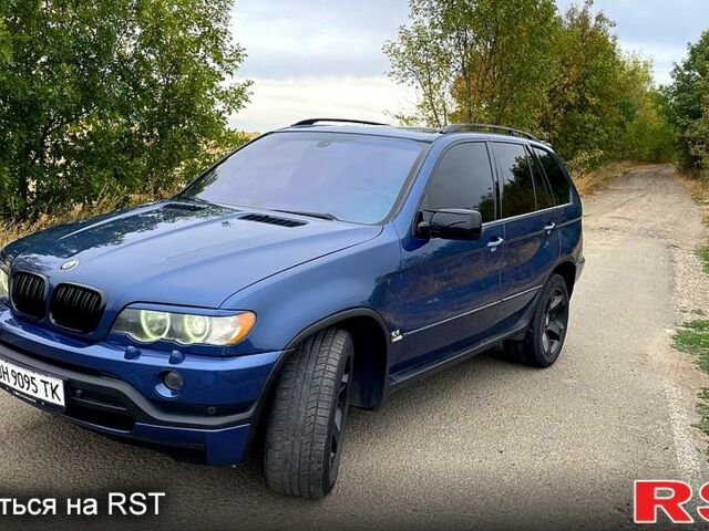 Синий БМВ Х5, объемом двигателя 4.4 л и пробегом 325 тыс. км за 7000 $, фото 2 на Automoto.ua