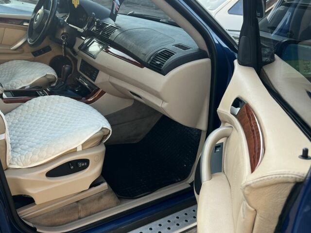 Синий БМВ Х5, объемом двигателя 4.4 л и пробегом 429 тыс. км за 7999 $, фото 11 на Automoto.ua