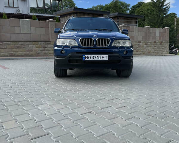 Синий БМВ Х5, объемом двигателя 3 л и пробегом 320 тыс. км за 8500 $, фото 3 на Automoto.ua