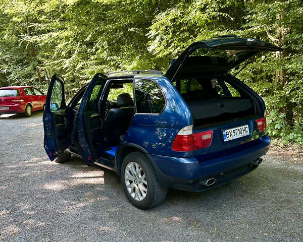 Синий БМВ Х5, объемом двигателя 3 л и пробегом 318 тыс. км за 7034 $, фото 7 на Automoto.ua
