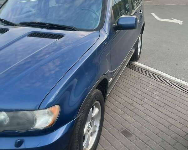 Синий БМВ Х5, объемом двигателя 3 л и пробегом 173 тыс. км за 8800 $, фото 3 на Automoto.ua