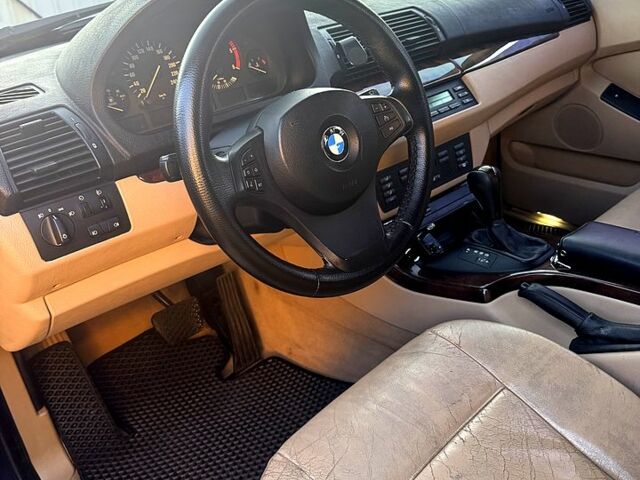 Синий БМВ Х5, объемом двигателя 3 л и пробегом 425 тыс. км за 10000 $, фото 7 на Automoto.ua