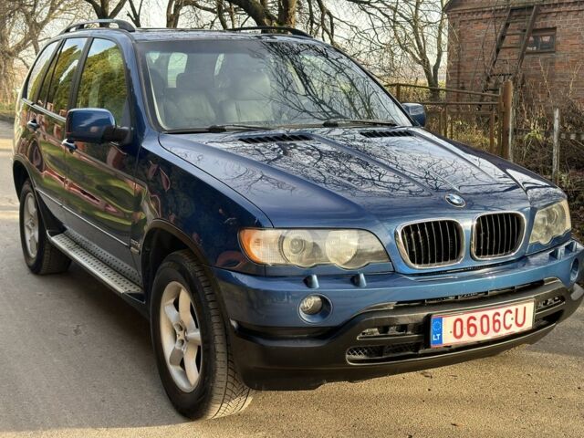Синій БМВ Х5, об'ємом двигуна 3 л та пробігом 316 тис. км за 3900 $, фото 12 на Automoto.ua