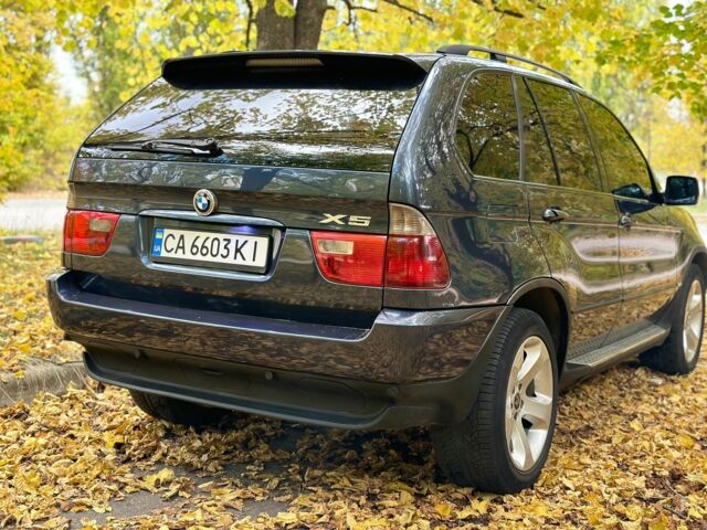 Синий БМВ Х5, объемом двигателя 3 л и пробегом 340 тыс. км за 9500 $, фото 4 на Automoto.ua