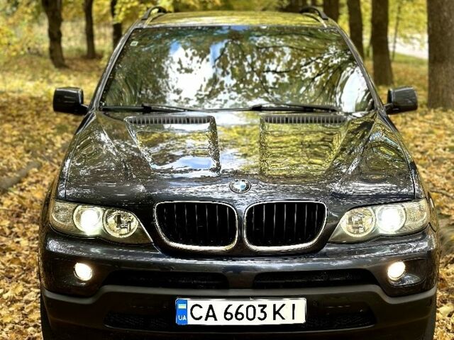 Синий БМВ Х5, объемом двигателя 3 л и пробегом 340 тыс. км за 9500 $, фото 23 на Automoto.ua