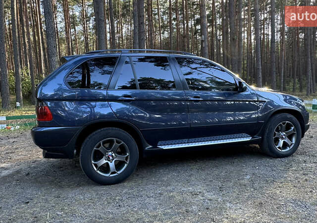 Синий БМВ Х5, объемом двигателя 2.99 л и пробегом 391 тыс. км за 13300 $, фото 7 на Automoto.ua