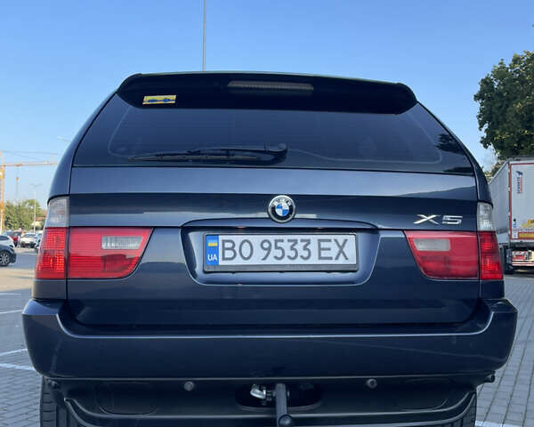 Синий БМВ Х5, объемом двигателя 3 л и пробегом 380 тыс. км за 12000 $, фото 11 на Automoto.ua