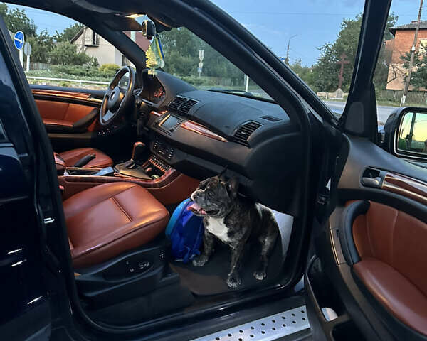 Синій БМВ Х5, об'ємом двигуна 4.4 л та пробігом 205 тис. км за 11999 $, фото 6 на Automoto.ua