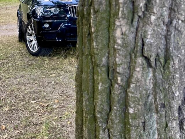 Синий БМВ Х5, объемом двигателя 3 л и пробегом 302 тыс. км за 17390 $, фото 17 на Automoto.ua