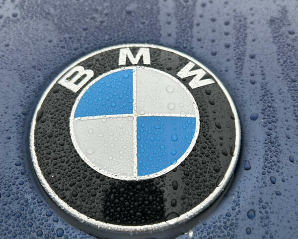 Синій БМВ Х5, об'ємом двигуна 2.98 л та пробігом 193 тис. км за 13500 $, фото 45 на Automoto.ua