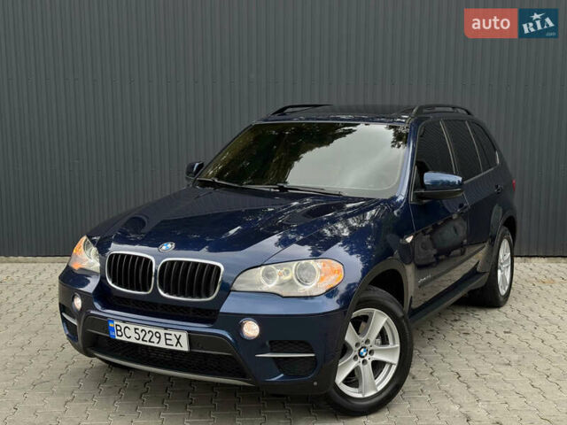 Синий БМВ Х5, объемом двигателя 3 л и пробегом 161 тыс. км за 13000 $, фото 12 на Automoto.ua